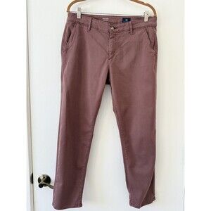 AG Adriano Goldschmied Caden Pants Mens 30R Mauve Tailored Trouser Stretch Chino